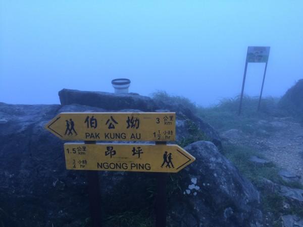 高中和大学美女的区别，这样穿衣服，大学美女赢定了！游戏画面
